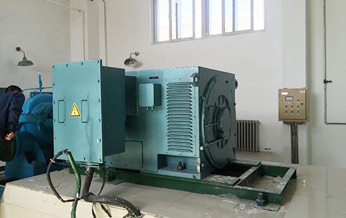 杭锦某水电站工程主水泵使用我公司高压电机